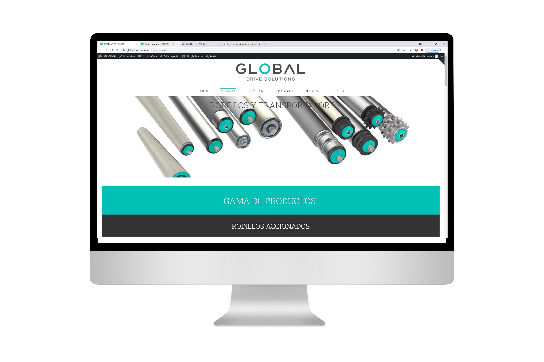 Rodillos y transportadores de rodillos - Global Drive Solutions